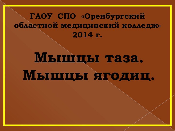 Мышцы таза.Мышцы ягодиц.ГАОУ СПО «Оренбургский областной медицинский колледж»2014 г.