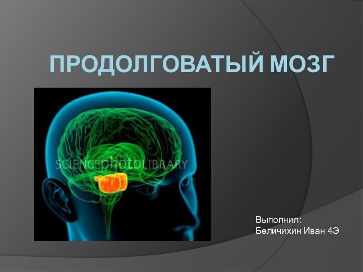 Продолговатый мозг Выполнил: Беличихин Иван 4Э