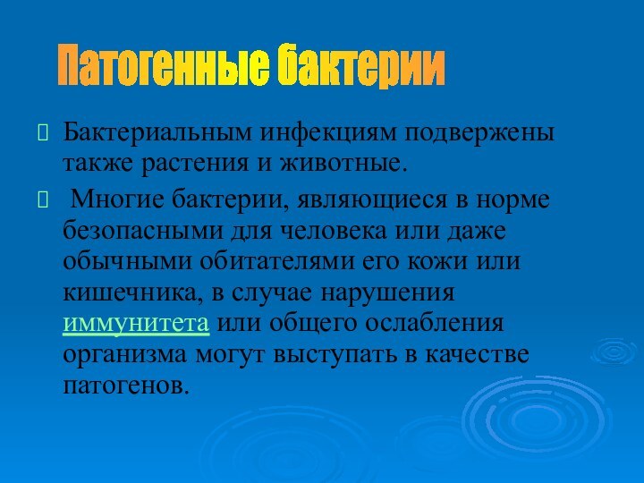 Бактериальным инфекциям подвержены также растения и животные. Многие бактерии, являющиеся в норме