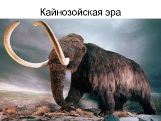 Кайнозойская эра