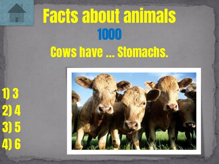 Cows have … Stomachs.Facts about animals10001) 32) 43) 54) 6