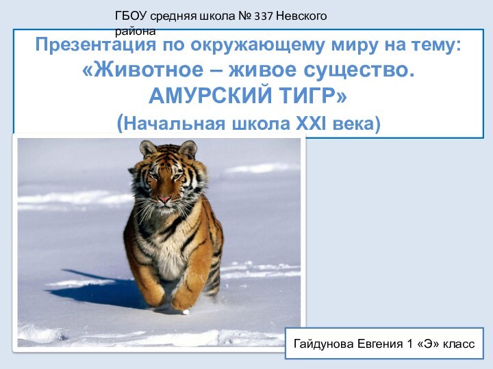 Презентация по окружающему миру на тему: «Животное – живое существо.  АМУРСКИЙ