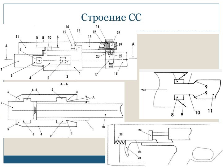 Строение СС