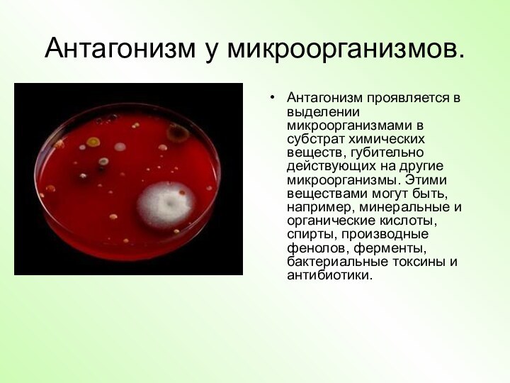 Антагонизм у микроорганизмов.Антагонизм проявляется в выделении микроорганизмами в субстрат химических веществ, губительно