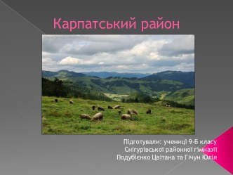 Карпатський район