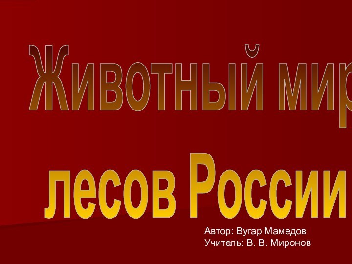 Автор: Вугар Мамедов Учитель: В. В. МироновЖивотный мирлесов России