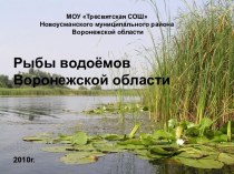 Рыбы водоёмов Воронежской области