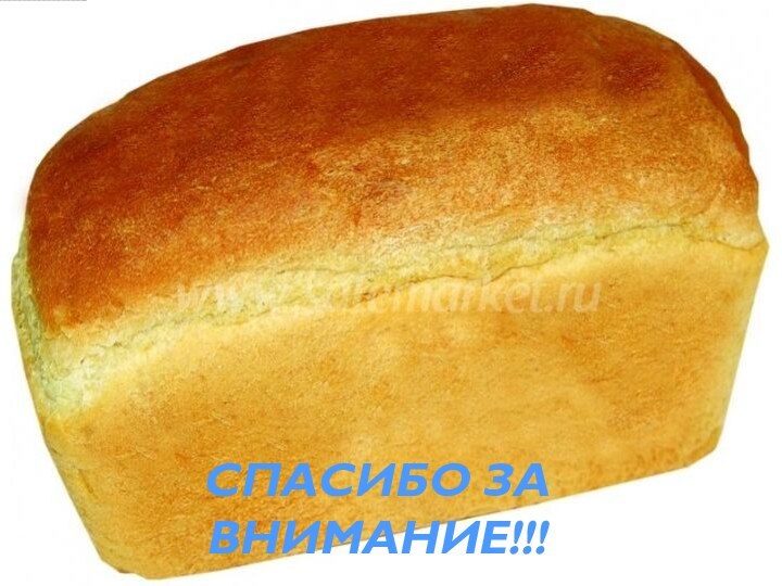 СПАСИБО ЗА ВНИМАНИЕ!!!