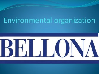 Environmentalorganization