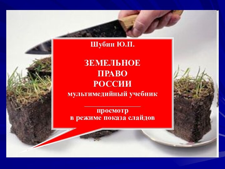 Шубин Ю.П.ЗЕМЕЛЬНОЕ ПРАВО РОССИИмультимедийный учебник_______________просмотр в режиме показа слайдов