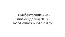 E. coli бактериясынан плазмидалық ДНҚ молекуласын бөліп алу