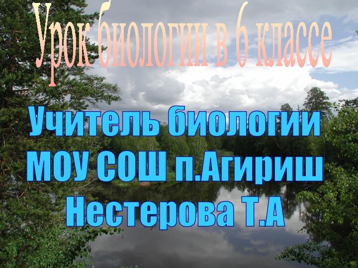 Урок биологии в 6 классеУчитель биологииМОУ СОШ п.АгиришНестерова Т.А