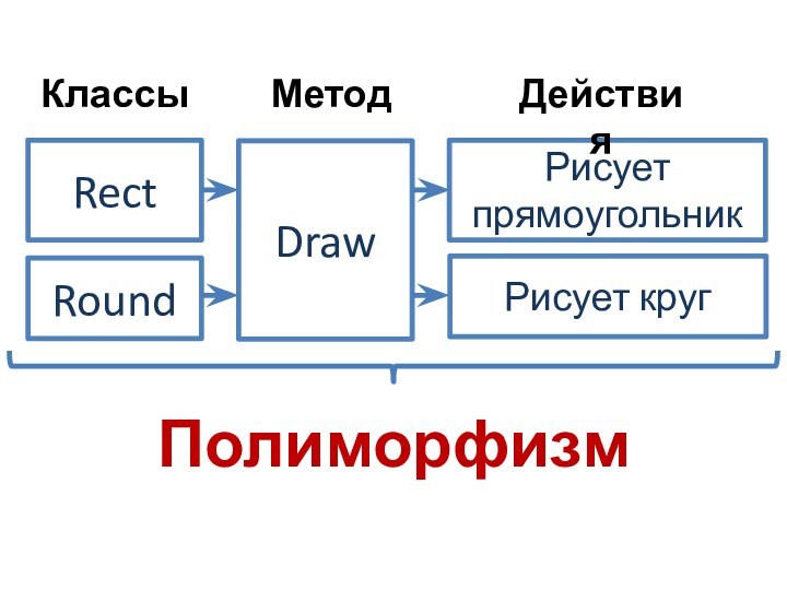 RectRoundDrawРисует прямоугольникРисует кругКлассыМетодДействияПолиморфизм