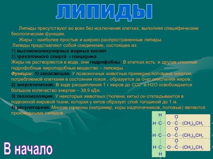 липиды   Липиды присутствуют во всех без исключения клетках, выполняя специфические