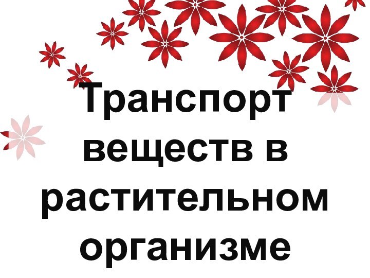 Транспорт веществ в растительном организме