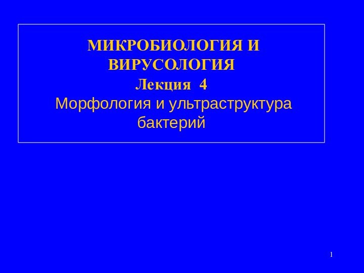 МИКРОБИОЛОГИЯ И ВИРУСОЛОГИЯ Лекция 4  Морфология и ультраструктура бактерий