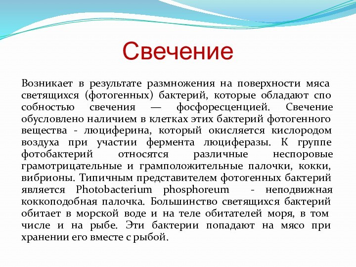 СвечениеВозникает в результате размножения на поверхности мяса светящихся (фотогенных) бактерий, которые обладают