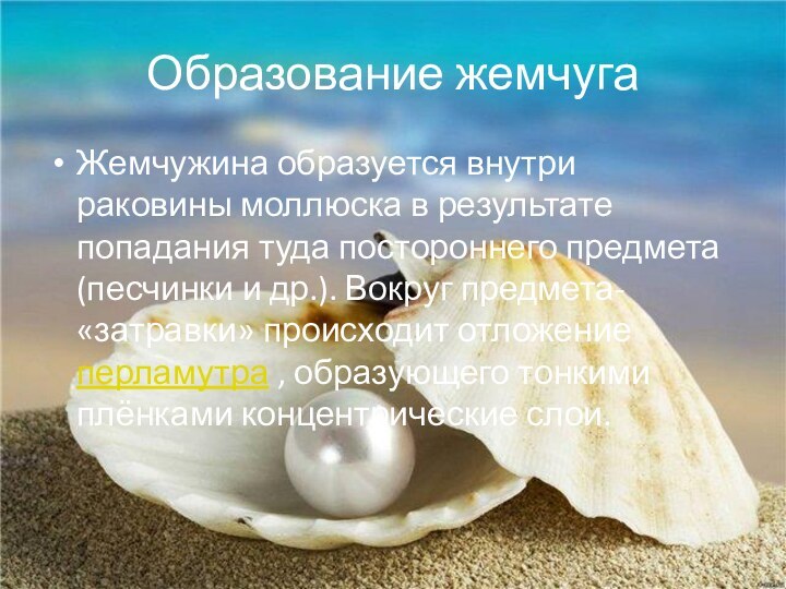 Образование жемчуга Жемчужина образуется внутри раковины моллюска в результате попадания туда постороннего