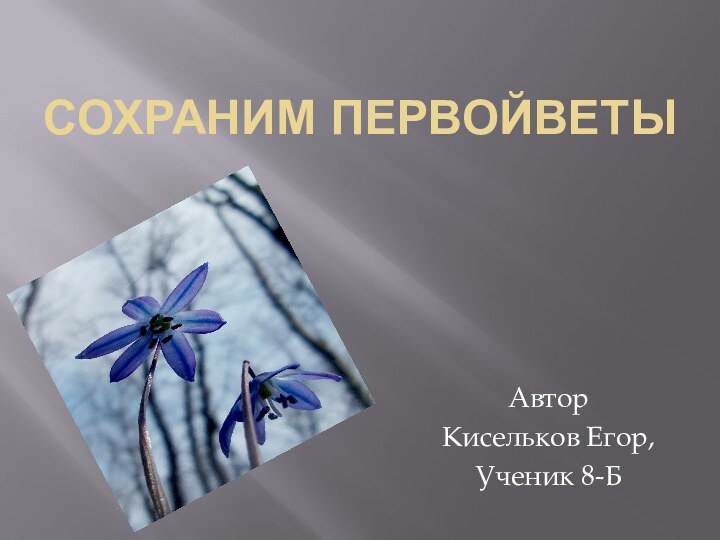 Сохраним первойветы АвторКисельков Егор,Ученик 8-Б
