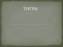 ТИГРЫ