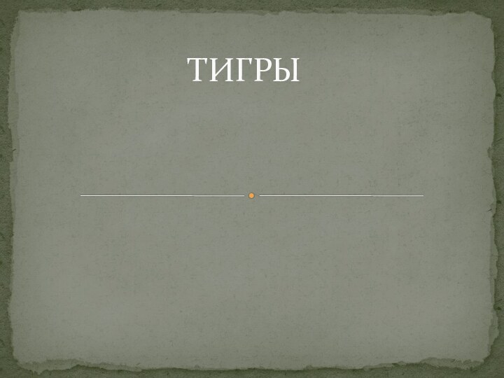 ТИГРЫ