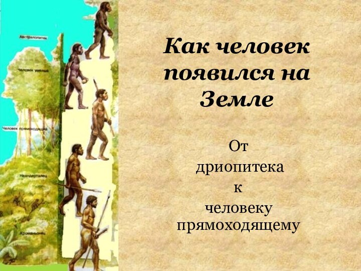 Как человек появился на ЗемлеОт дриопитекакчеловеку прямоходящему