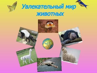 Увлекательный мир животных