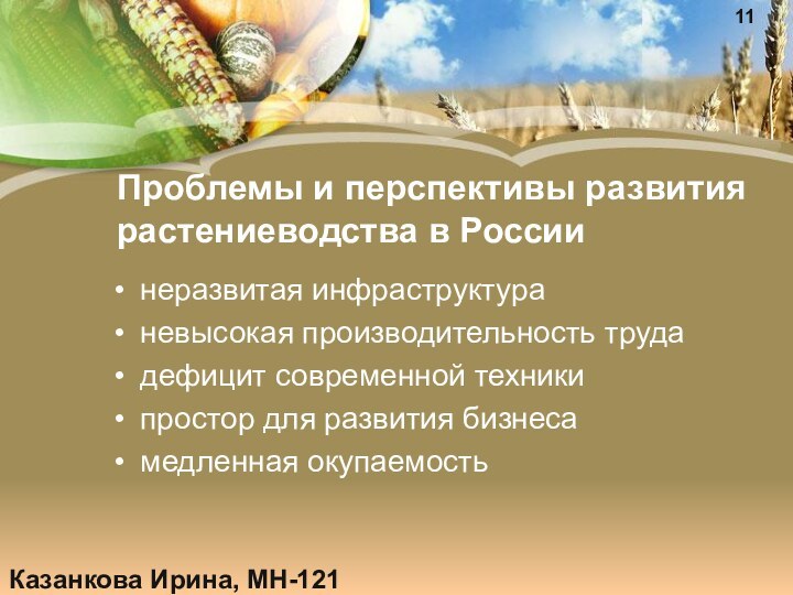 Проблемы и перспективы развития растениеводства в России неразвитая инфраструктураневысокая производительность трудадефицит современной