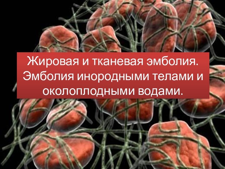 Жировая и тканевая эмболия. Эмболия инородными телами и околоплодными водами.