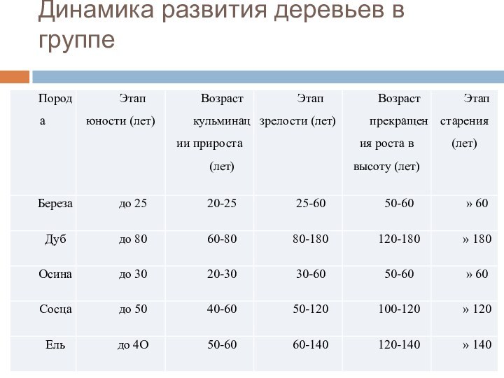 Динамика развития деревьев в группе