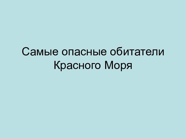 Самые опасные обитатели Красного Моря