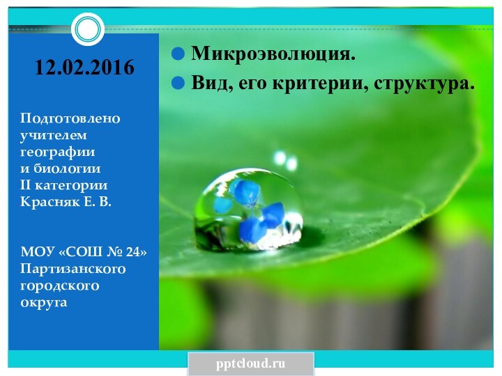 Подготовленоучителем географии и биологии II категории Красняк Е. В.МОУ «СОШ № 24»