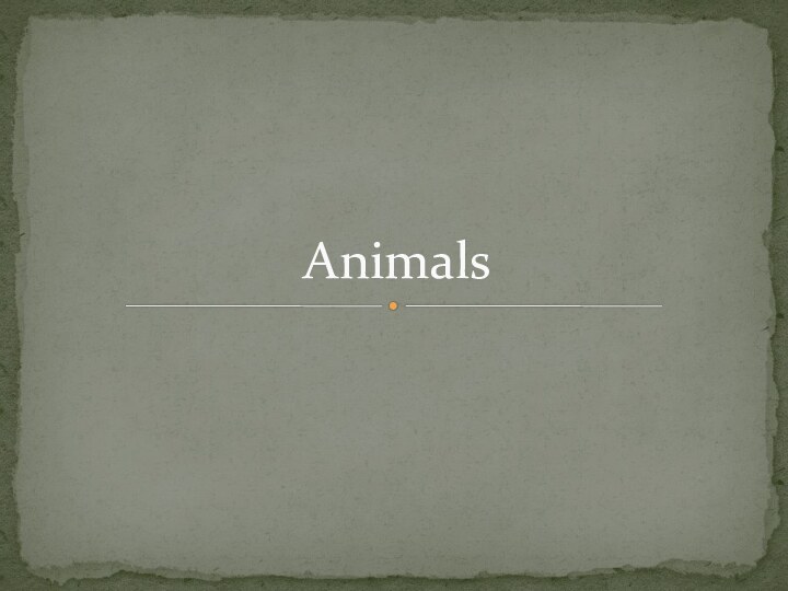 Animals