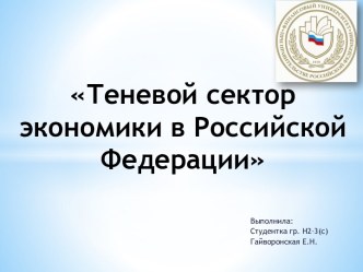 Теневой сектор экономики в Российской Федерации