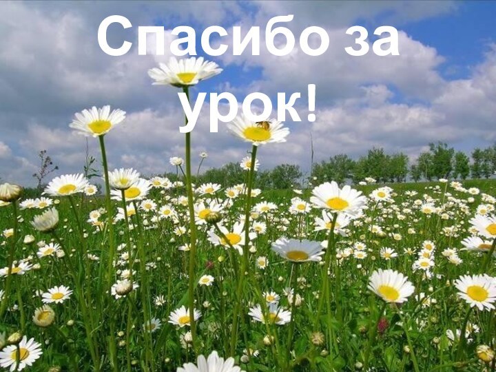 Спасибо за урок!