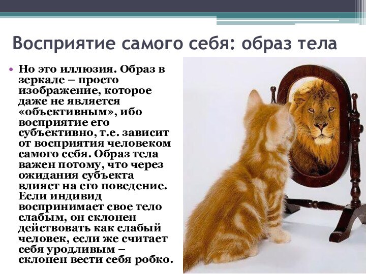 Восприятие самого себя: образ телаНо это иллюзия. Образ в зеркале – просто