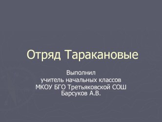 Отряд Таракановые