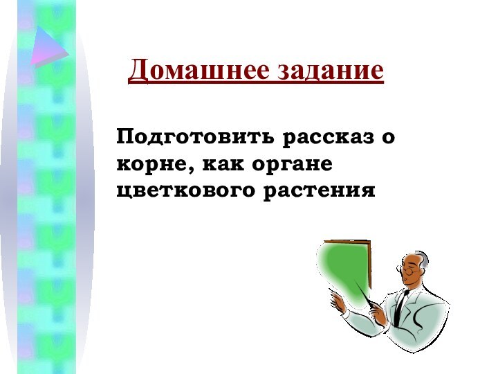 Домашнее заданиеПодготовить рассказ о корне, как органе цветкового растения