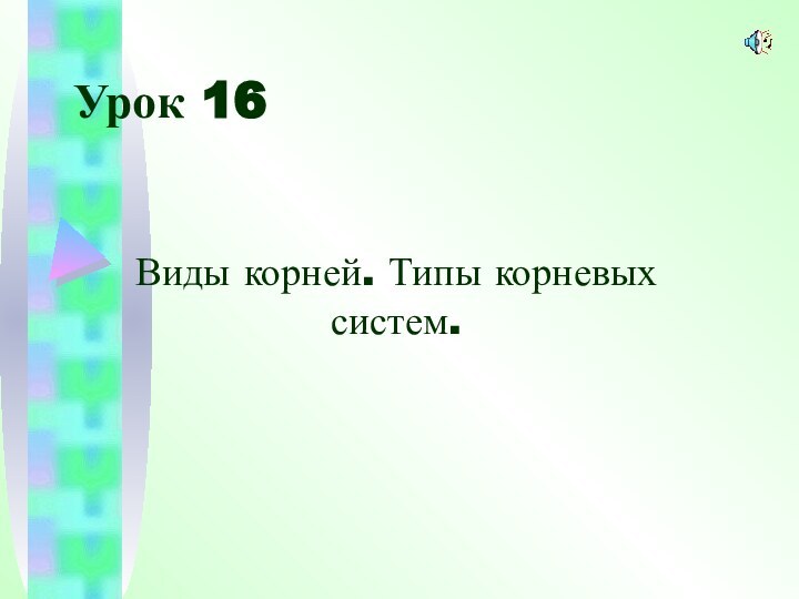 Урок 16Виды корней. Типы корневых систем.