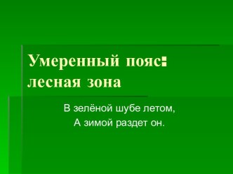 Умеренный пояс: лесная зона