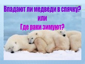 Впадают ли медведи в спячку? Где раки зимуют?