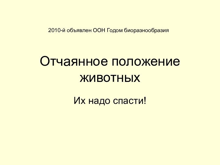 Отчаянное положение животных Их надо спасти!2010-й объявлен ООН Годом биоразнообразия