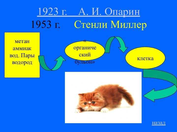 1923 г.  А. И. Опарин 1953 г.   Стенли Миллерметанаммиаквод. Парыводородклетканазад« органический бульон»