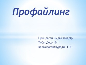 Профайлинг