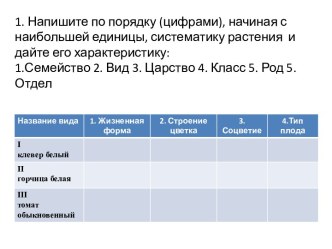 Класс Однодольные. Семейство Злаки