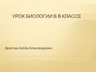 Строение и функции кожи