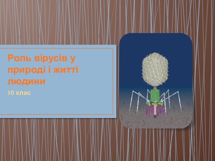 Роль вірусів у природі і житті людини10 клас