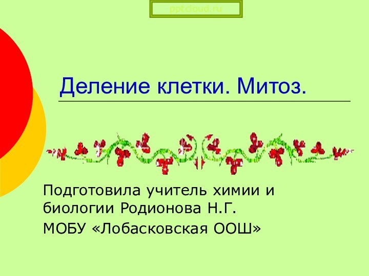 Деление клетки. Митоз. Подготовила учитель химии и биологии Родионова Н.Г.МОБУ «Лобасковская ООШ»