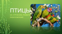 ПТИЦЫ