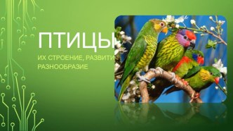 ПТИЦЫ